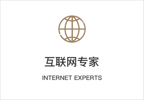 互联网专家