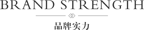 品牌实力 BRAND STRENGTH