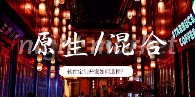 软件定制开发